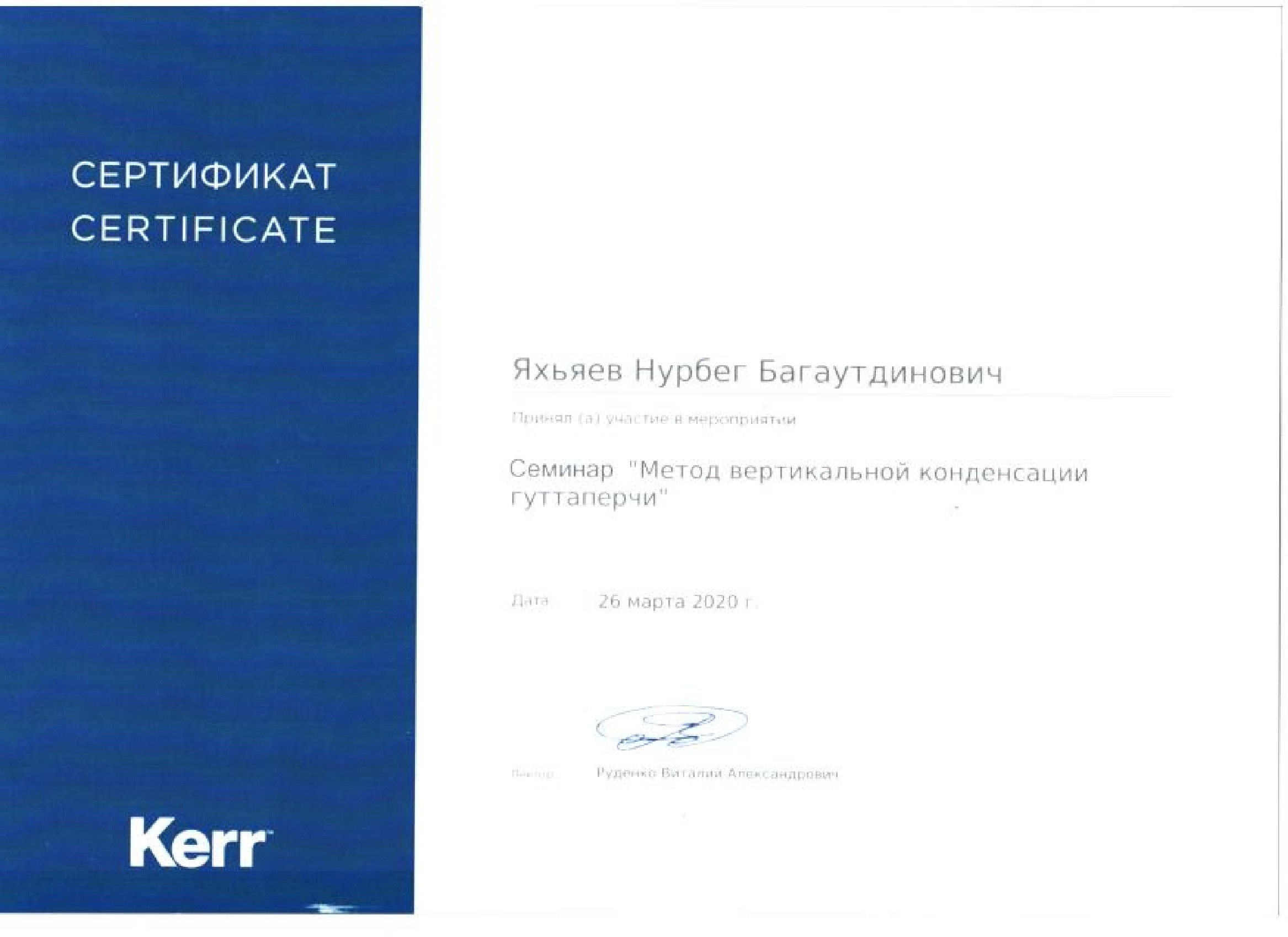Сертификат дополнительного профессионального образования Яхьяев Нурбег Багаутдинович